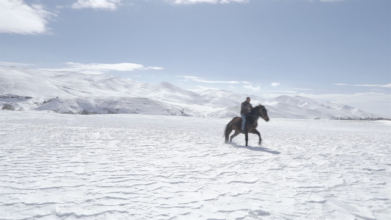 Man on horse in snow