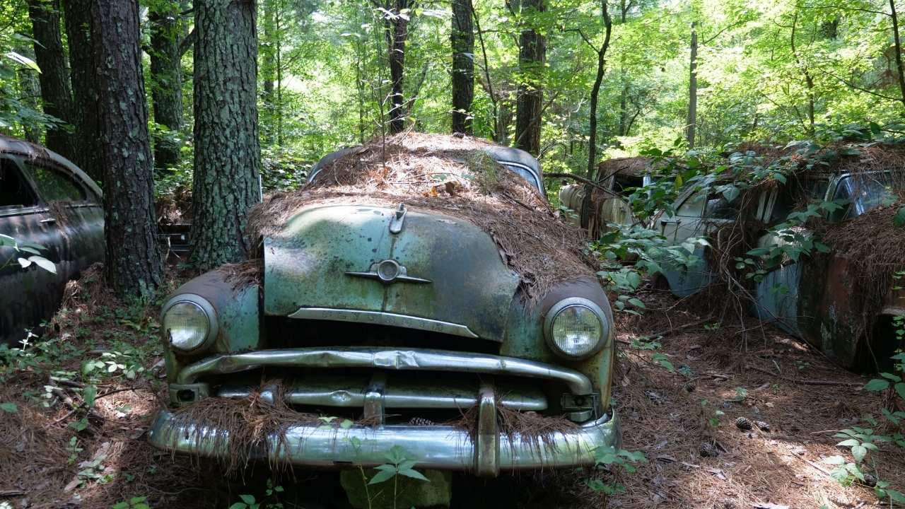 a rusty car in front of a tree
