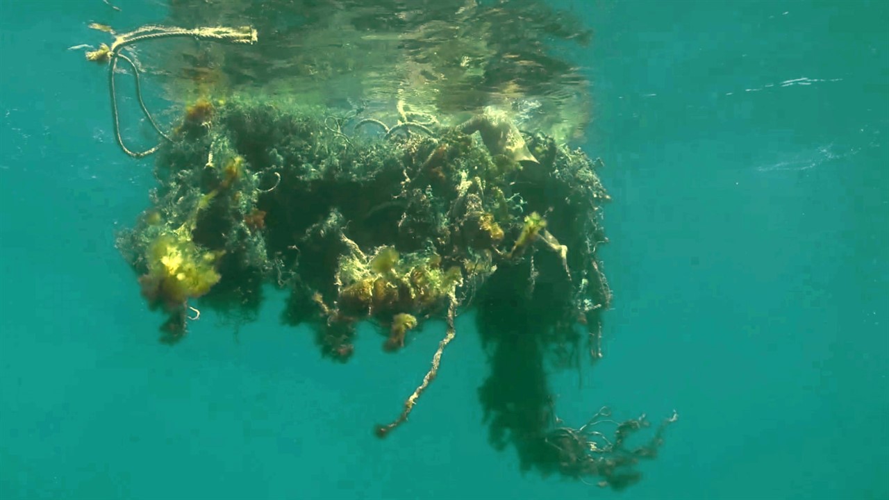 Clump of trash and vegetation underwater