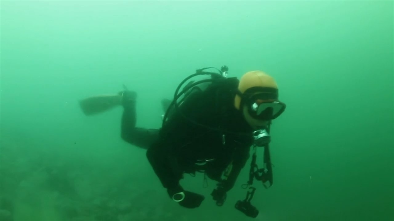 Person scuba diving