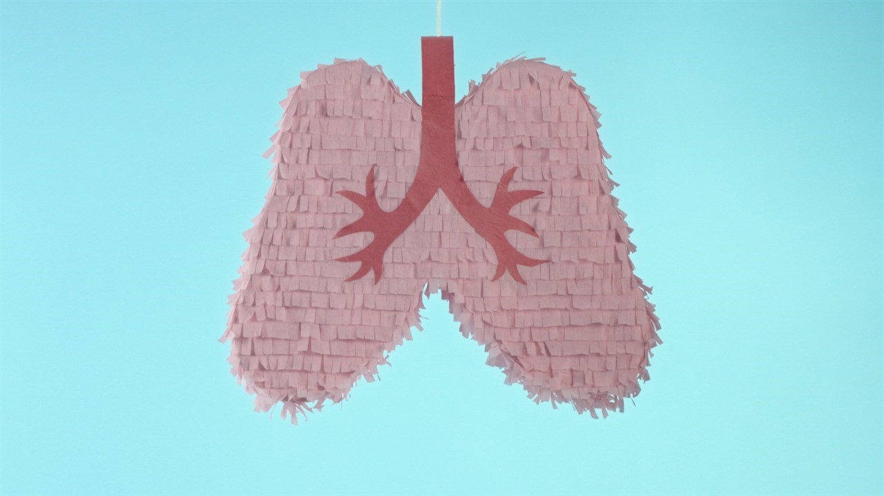Piñata in the shape of lungs
