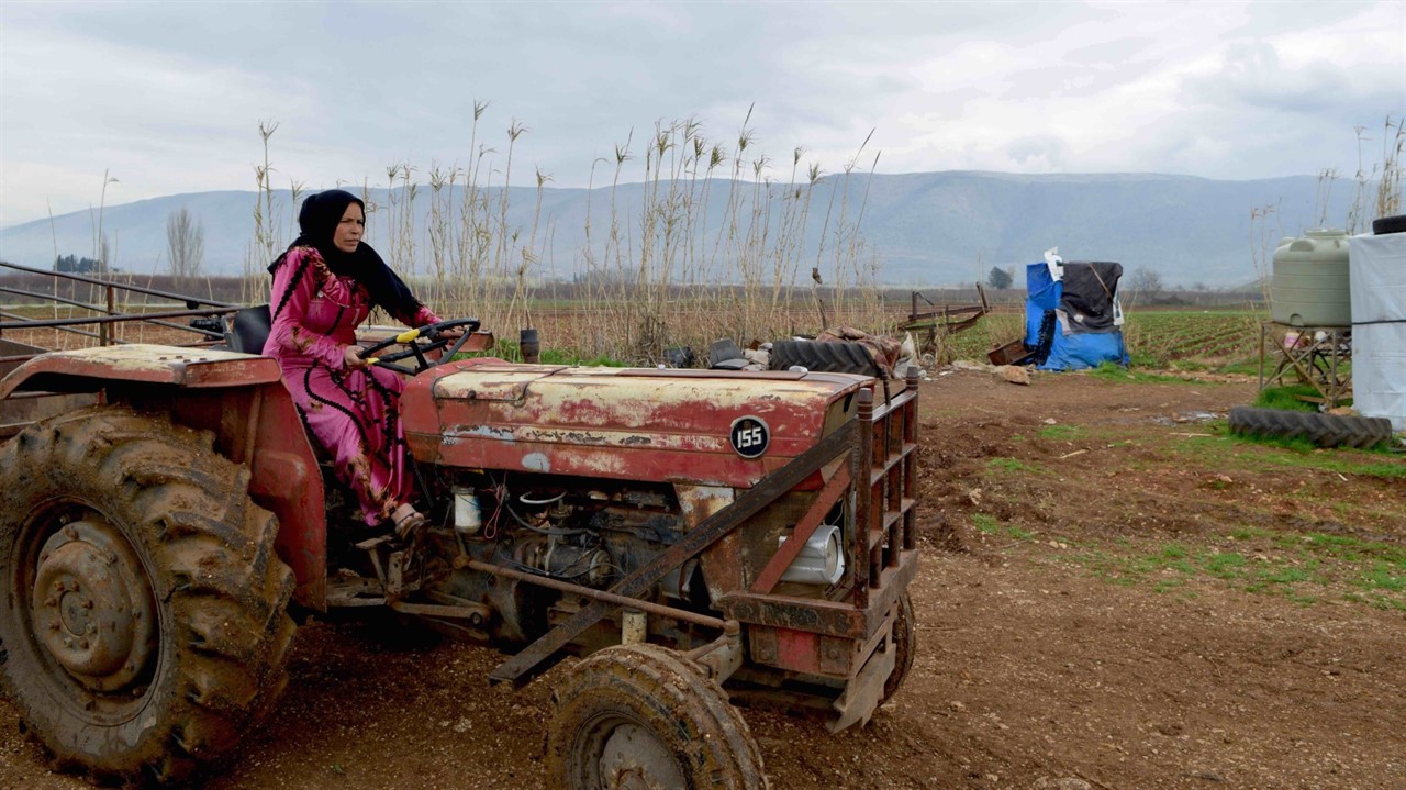 Syrian woman driving a tractor