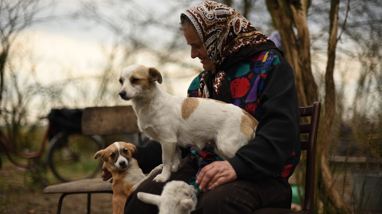 Woman sits on bench with dogs
