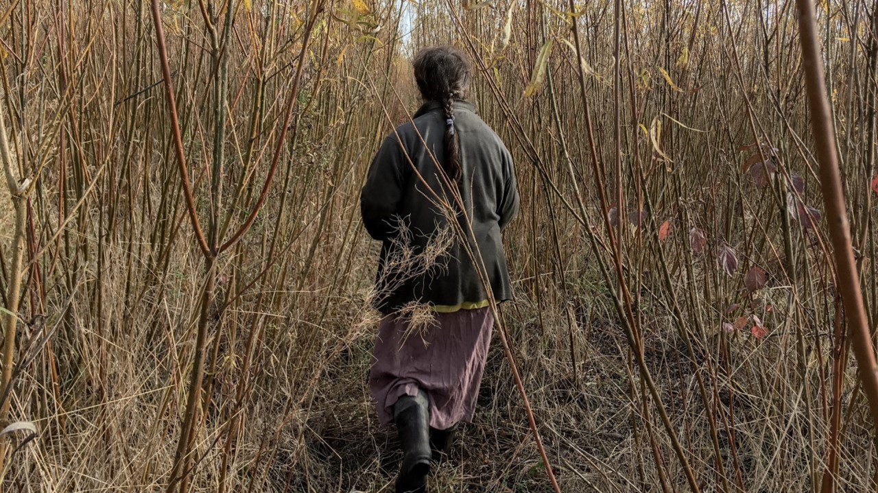 Woman walks amoung trees
