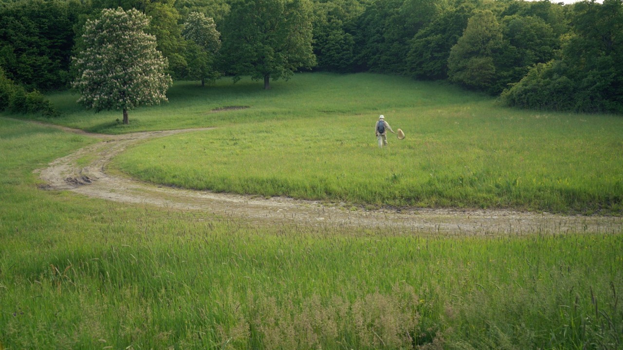 Man in distance, walking though tall grass