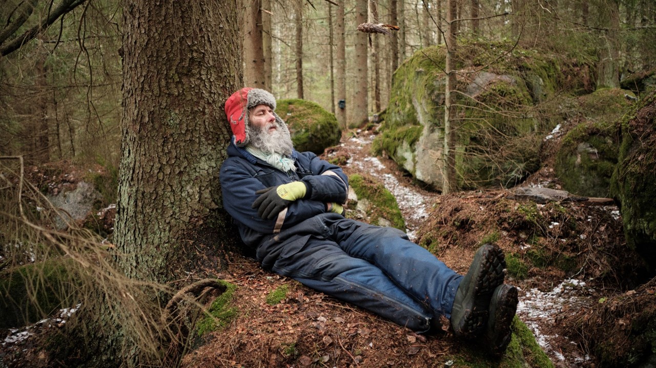 Man in winter clothes sleeps in a forest