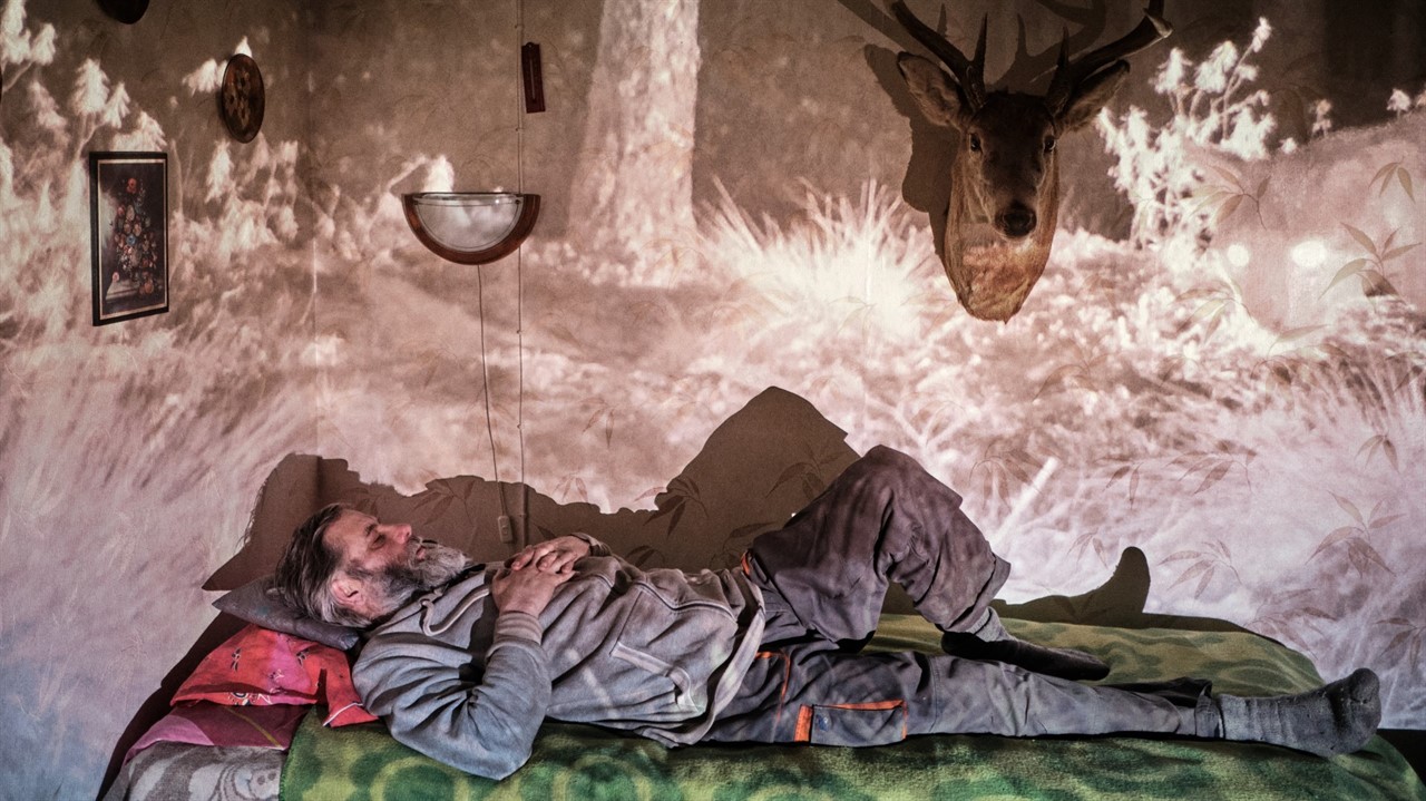 a man lies on a bed with a projection of a forest 