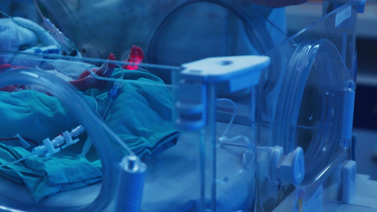 A baby's feet in an incubator