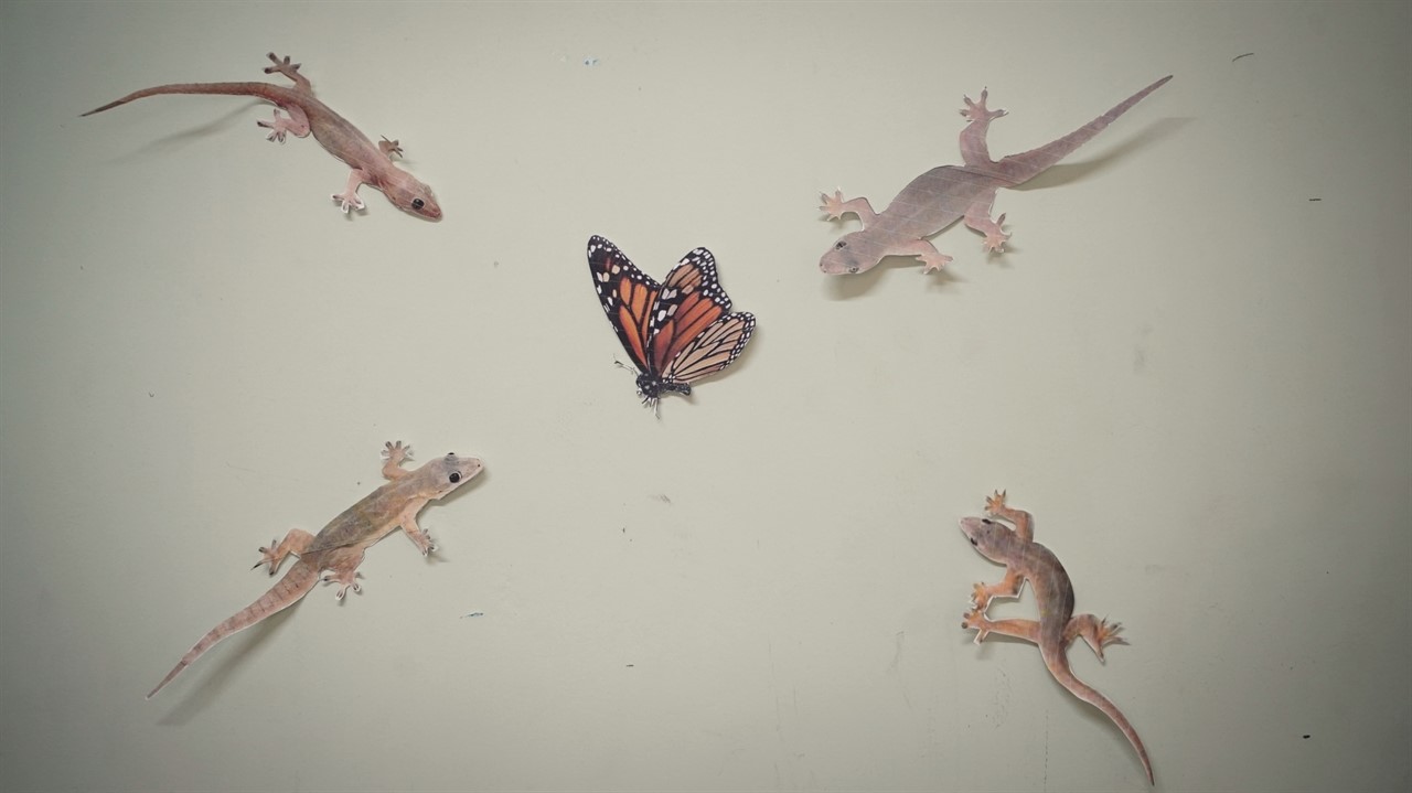 Four gecko cutouts surround a monarch butterfly