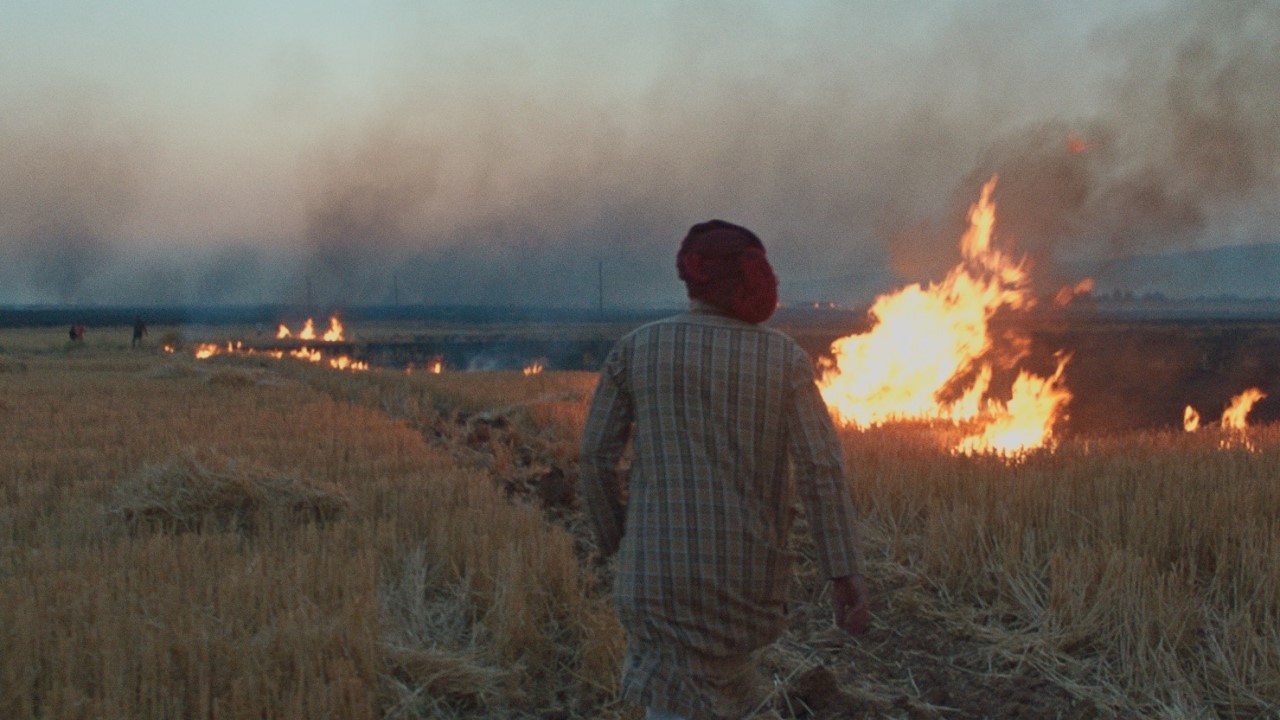 Person in a grassy field with fires nearby