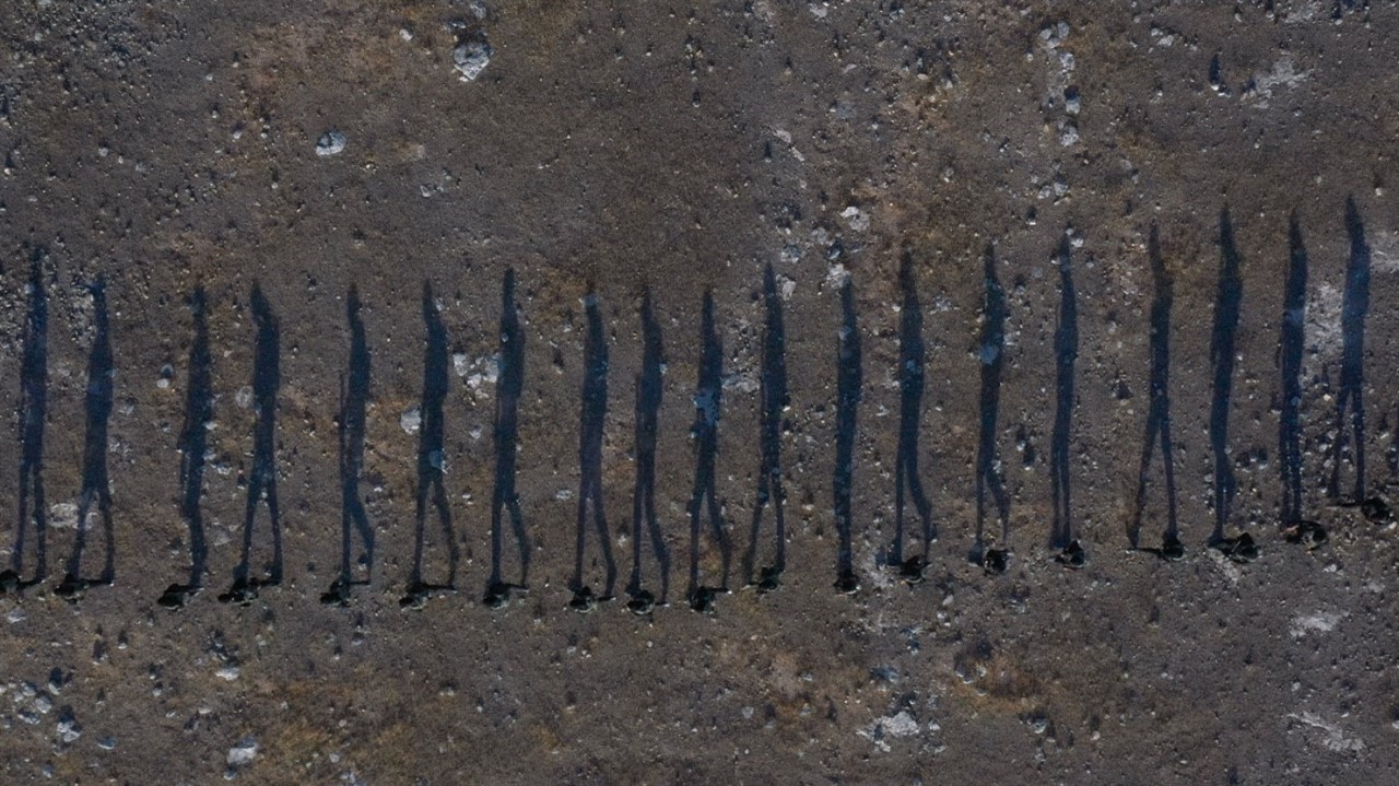 Aerial view of people walking in a line