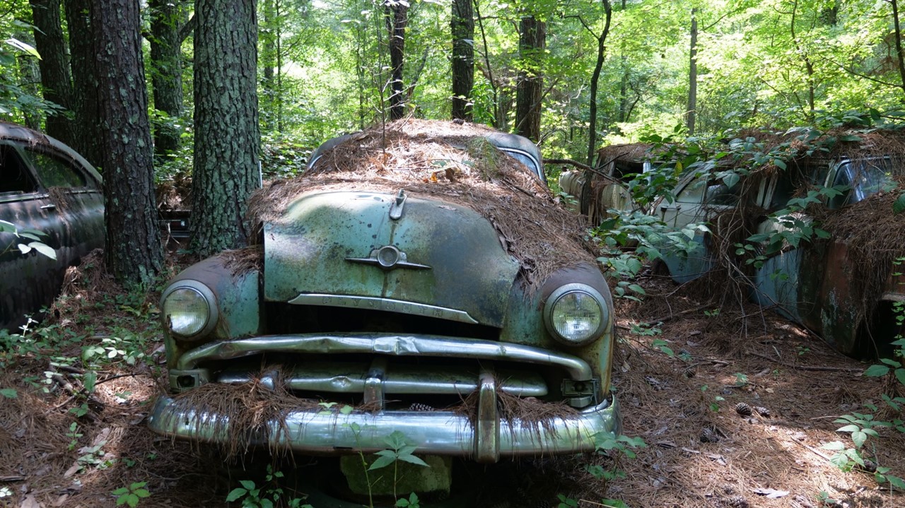 Discarded cars covered in rust and leaves