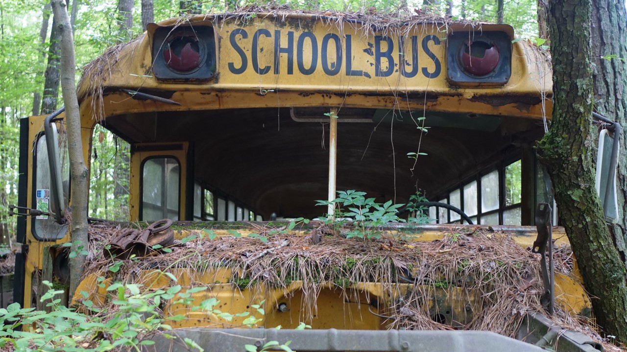 Discarded school bus covered in leaves