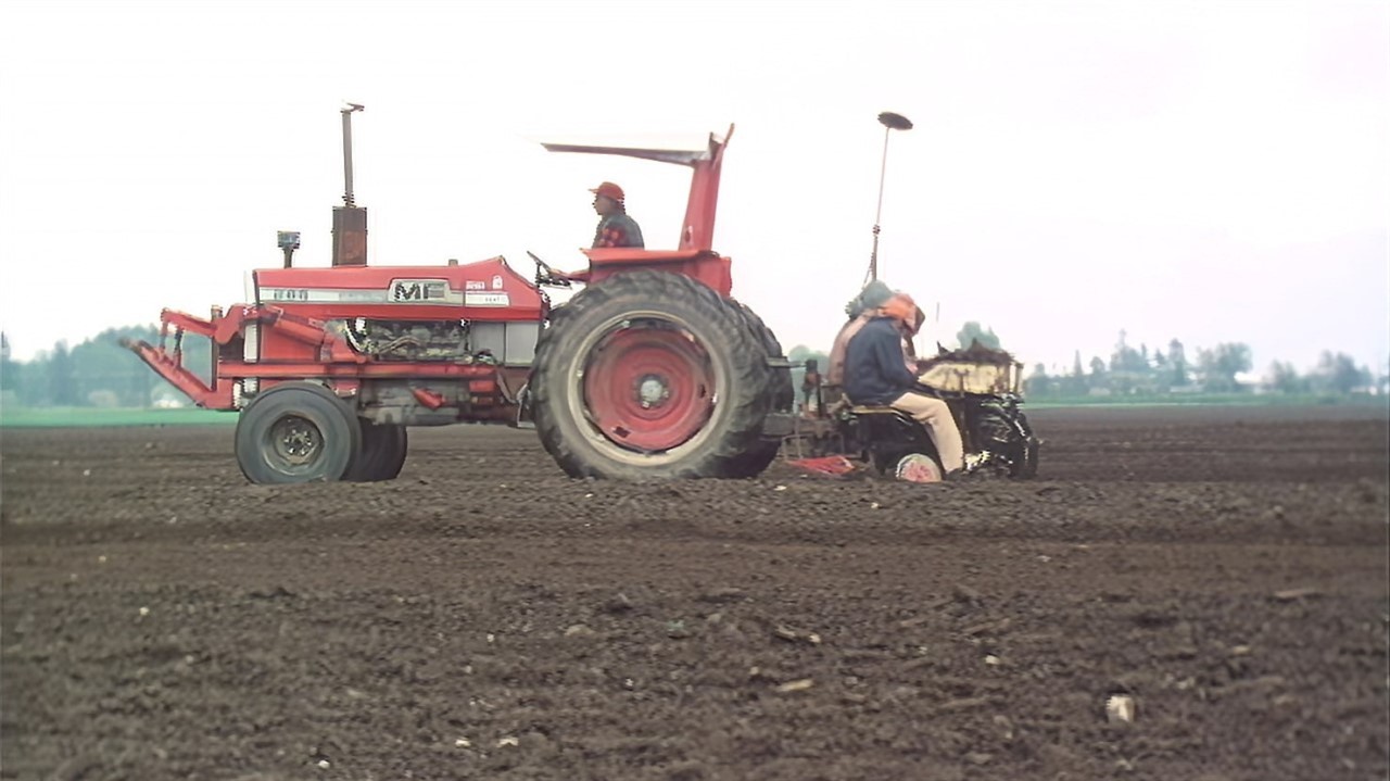 Men on a tractor, working in a field
