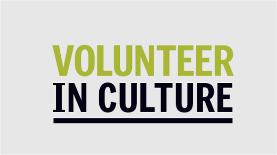volunteer_in_culture2B.png